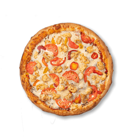 Shawarma Pizza Special