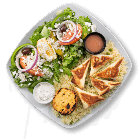 Spanakopita Platter (Veg)